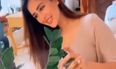 चाहत खन्ना ने अपने पौधों को पानी देते हुए वीडियो के जरिए प्रकृति की ओर लगाव बढ़ाने का किया अनोखा प्रयास  