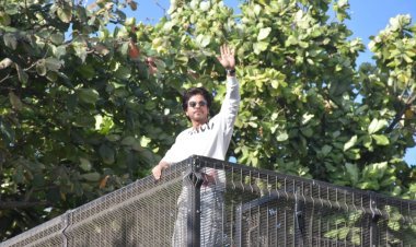 फ़िल्म चिड़ियाखाना के हाथ लगी कामयाबी