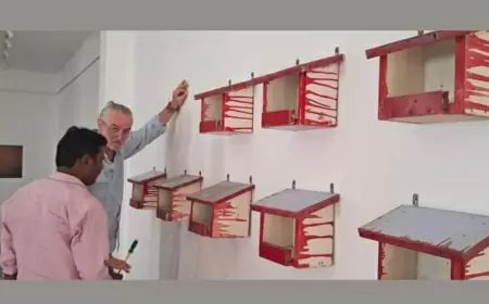 गौरैया संरक्षण के लिए रजत सिनर्जी फाउंडेशन और जोसेफ बर्नहार्ट ने बनाए प्राकृतिक स्वरूप में घोंसले