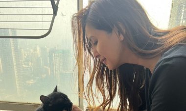 चाहत खन्ना ने आवारा बिल्ली की मदद के किए बढ़ाए हाथ